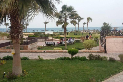 مساحات خضراء شاسعة